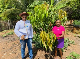 Noventa e cinco famílias de agricultores familiares foram cadastradas para receber mudas frutíferas, em Carnaubais