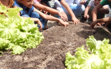 Crianças vivenciam Educação Ambiental na horta escolar com Projeto Reflorescer