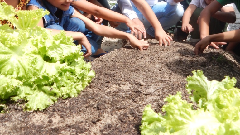 Crianças vivenciam Educação Ambiental na horta escolar com Projeto Reflorescer