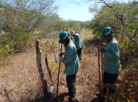 Cercamento da área de 112 Hectares destinada ao reflorestamento é iniciado