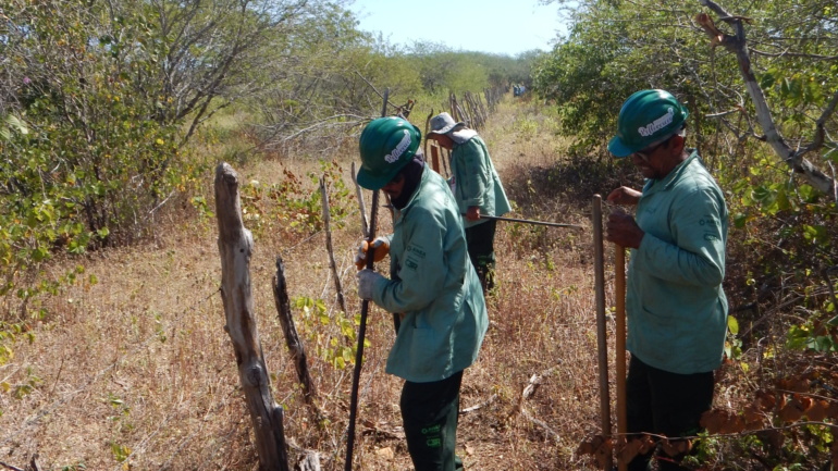 Cercamento da área de 112 Hectares destinada ao reflorestamento é iniciado