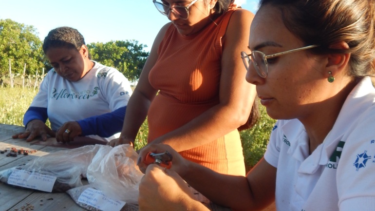 Projeto Reflorescer capacita mulheres viveiristas e promove sustentabilidade ambiental